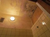 IMG0015PT