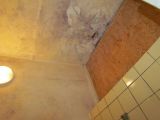 IMG0018PT