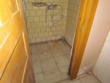 IMG0022PT